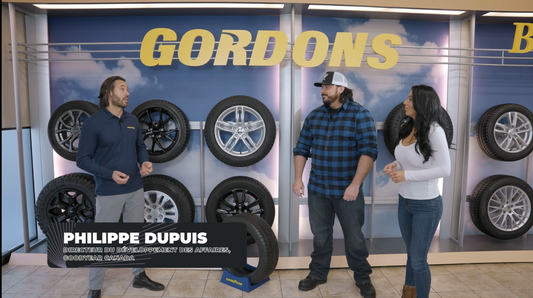 PNEUS GOODYEAR - ZONE MODIFICATION